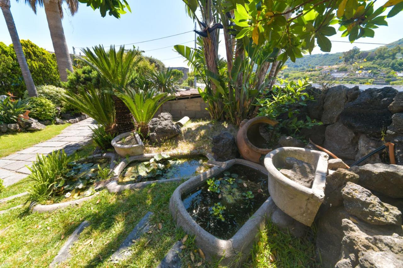 Villa Stefania Barano d'Ischia Ngoại thất bức ảnh