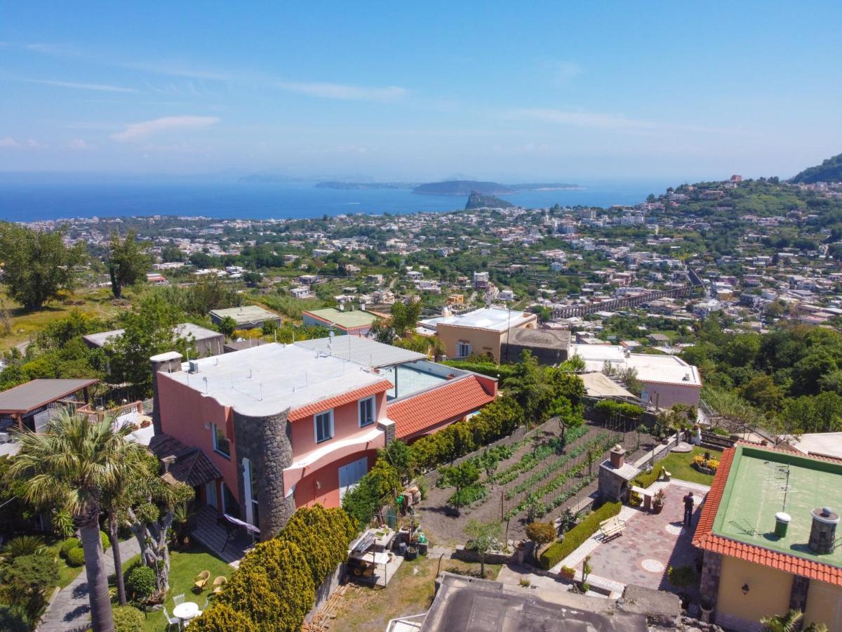 Villa Stefania Barano d'Ischia Ngoại thất bức ảnh